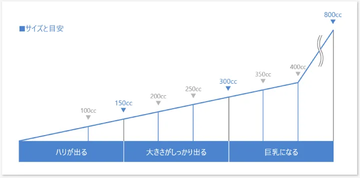 サイズと目安（図）