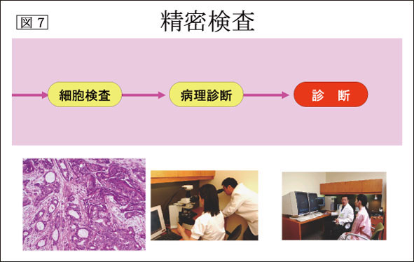 図7：精密検査